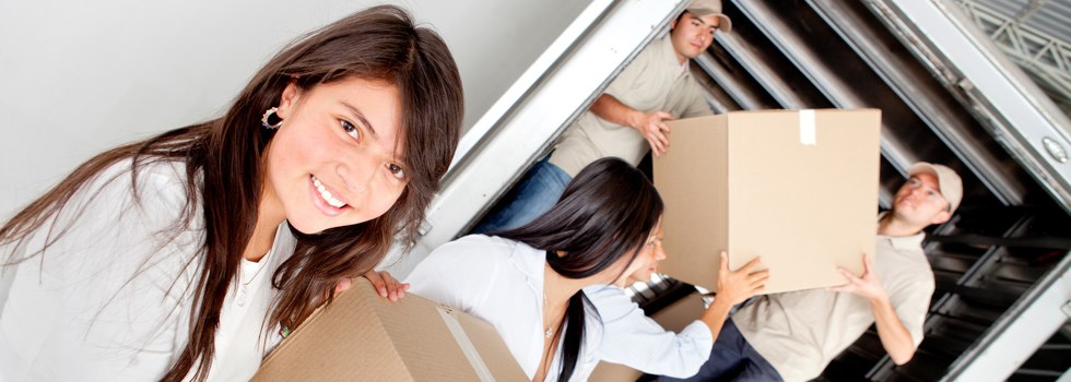 Professional Removalists Willows Gemfields